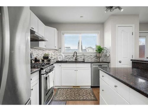 63 Cramond Green Se, Calgary, AB - Indoor Photo Showing Kitchen With Upgraded Kitchen