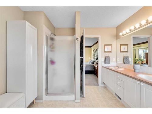 228 Chaparral Circle Se, Calgary, AB - Indoor Photo Showing Bathroom