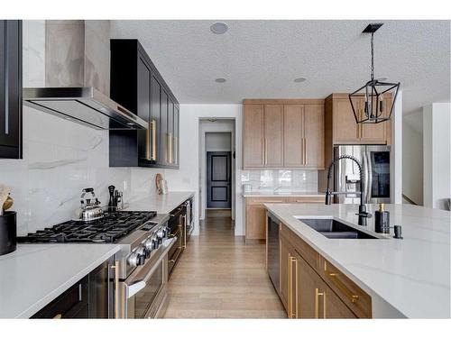 42 Westmore Park Sw, Calgary, AB - Indoor Photo Showing Kitchen With Double Sink With Upgraded Kitchen