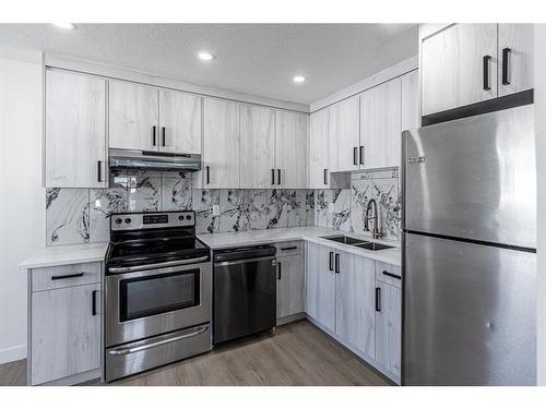 1-1709 48 Street Se, Calgary, AB - Indoor Photo Showing Kitchen With Double Sink With Upgraded Kitchen