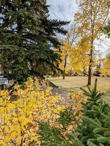 201-6108 53 Street, Olds, AB - Outdoor With View