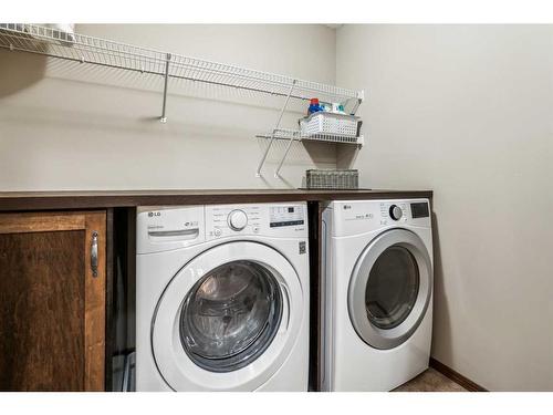 119 Chapalina Mews Se, Calgary, AB - Indoor Photo Showing Laundry Room