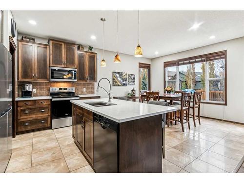 119 Chapalina Mews Se, Calgary, AB - Indoor Photo Showing Kitchen With Double Sink With Upgraded Kitchen