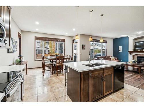 119 Chapalina Mews Se, Calgary, AB - Indoor Photo Showing Kitchen With Fireplace With Double Sink With Upgraded Kitchen