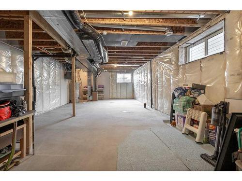 20 Royston Walk Nw, Calgary, AB - Indoor Photo Showing Basement