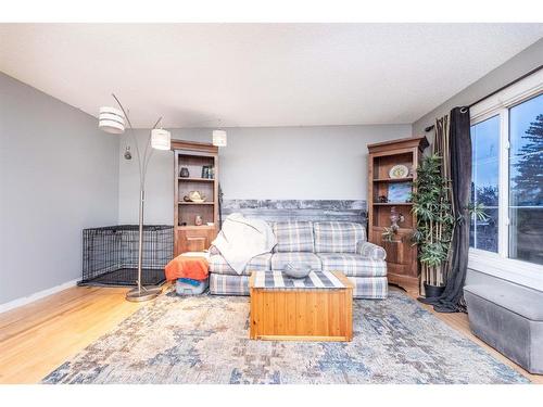 360 Abinger Crescent Ne, Calgary, AB - Indoor Photo Showing Living Room