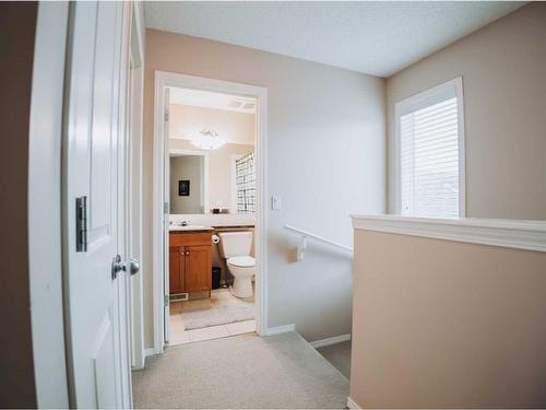 207 Cranberry Way Se, Calgary, AB - Indoor Photo Showing Bathroom