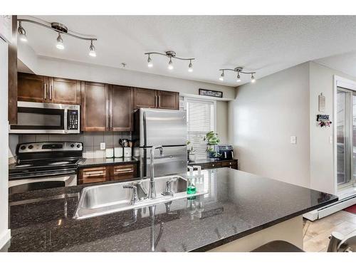 102-7110 80 Avenue Ne, Calgary, AB - Indoor Photo Showing Kitchen With Stainless Steel Kitchen With Double Sink