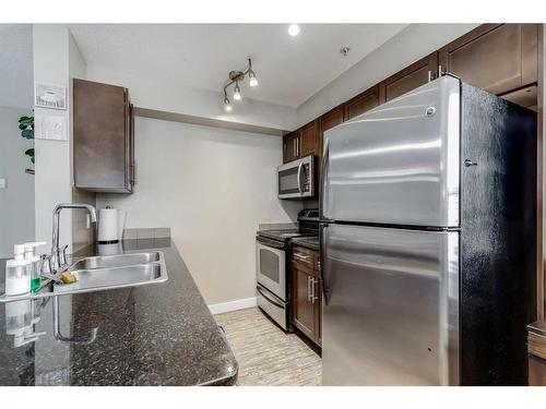 102-7110 80 Avenue Ne, Calgary, AB - Indoor Photo Showing Kitchen With Stainless Steel Kitchen With Double Sink