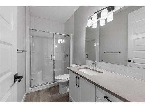 249 Savanna Drive Ne, Calgary, AB - Indoor Photo Showing Bathroom