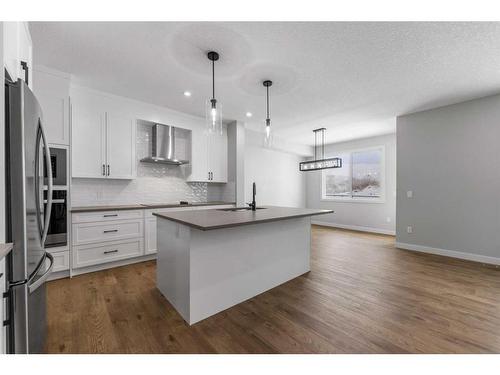 249 Savanna Drive Ne, Calgary, AB - Indoor Photo Showing Kitchen With Upgraded Kitchen