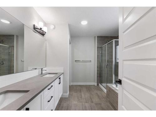 249 Savanna Drive Ne, Calgary, AB - Indoor Photo Showing Bathroom