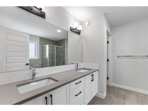 249 Savanna Drive Ne, Calgary, AB - Indoor Photo Showing Bathroom