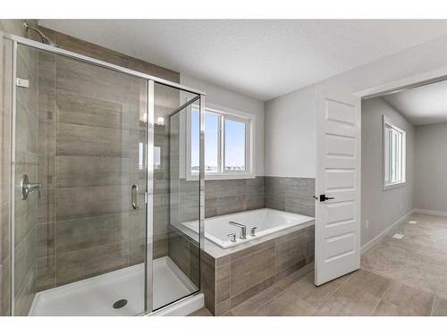 249 Savanna Drive Ne, Calgary, AB - Indoor Photo Showing Bathroom