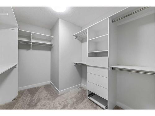 249 Savanna Drive Ne, Calgary, AB - Indoor With Storage