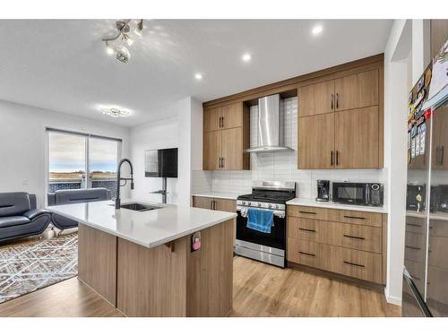 52 Cityline Square Ne, Calgary, AB - Indoor Photo Showing Kitchen With Stainless Steel Kitchen With Upgraded Kitchen