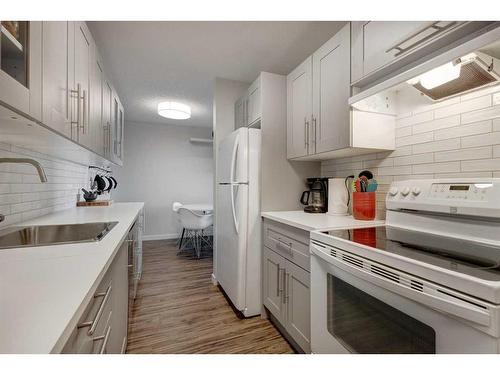 419-816 89 Avenue Sw, Calgary, AB - Indoor Photo Showing Kitchen