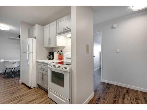 419-816 89 Avenue Sw, Calgary, AB - Indoor Photo Showing Kitchen