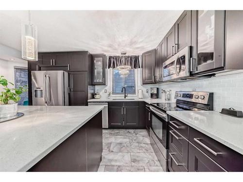 23 Deer Place Se, Calgary, AB - Indoor Photo Showing Kitchen With Upgraded Kitchen