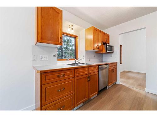 3 Sunlake Close Se, Calgary, AB - Indoor Photo Showing Kitchen With Double Sink