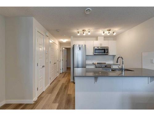 422 Cranbrook Square Se, Calgary, AB - Indoor Photo Showing Kitchen With Double Sink