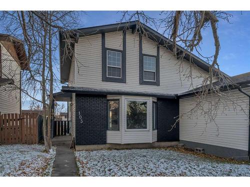 103 Pineson Place Ne, Calgary, AB - Outdoor