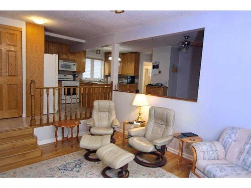 201 Elisnore Avenue, Standard, AB - Indoor Photo Showing Living Room