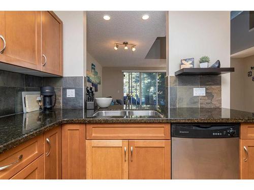 9-122 Village Heights Sw, Calgary, AB - Indoor Photo Showing Kitchen With Double Sink