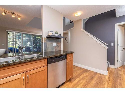 9-122 Village Heights Sw, Calgary, AB - Indoor Photo Showing Kitchen With Double Sink