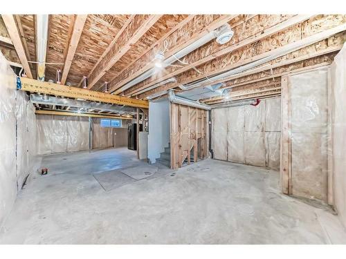 116 Savanna Road Ne, Calgary, AB - Indoor Photo Showing Basement