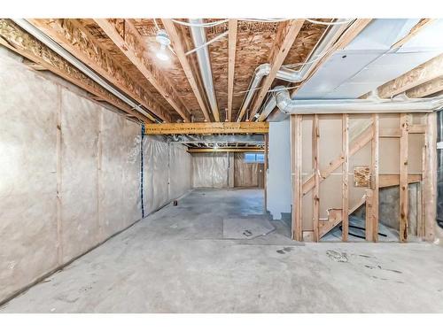 116 Savanna Road Ne, Calgary, AB - Indoor Photo Showing Basement