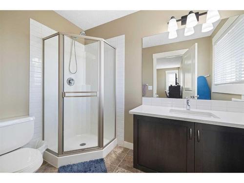 5 Skyview Springs Common Ne, Calgary, AB - Indoor Photo Showing Bathroom