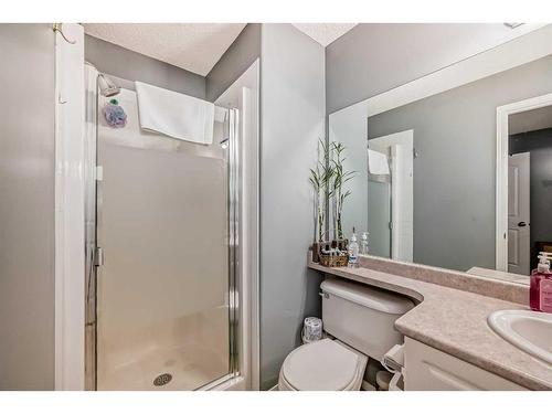 103 Citadel Meadow Gardens Nw, Calgary, AB - Indoor Photo Showing Bathroom