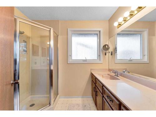 12419 17 Street Sw, Calgary, AB - Indoor Photo Showing Bathroom