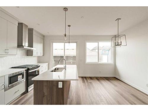 24 Herron Walk Ne, Calgary, AB - Indoor Photo Showing Kitchen With Double Sink With Upgraded Kitchen