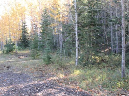 Range Road 6-2, Rural Clearwater County, AB 