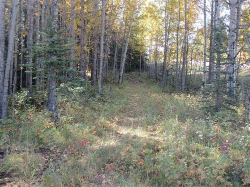 Range Road 6-2, Rural Clearwater County, AB 