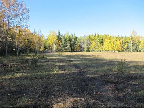 Range Road 6-2, Rural Clearwater County, AB 