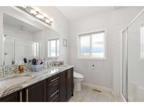 341 Ravenstern Link Se, Airdrie, AB - Indoor Photo Showing Bathroom