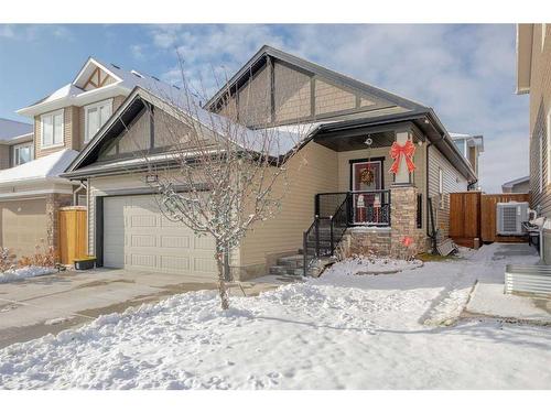 341 Ravenstern Link Se, Airdrie, AB - Outdoor