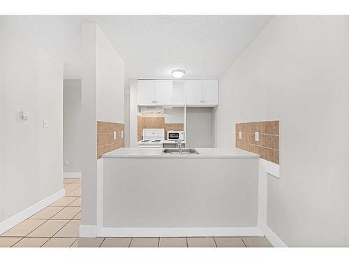 103-431 1 Avenue Ne, Calgary, AB - Indoor Photo Showing Laundry Room