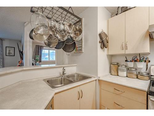 1417-10 Prestwick Bay Se, Calgary, AB - Indoor Photo Showing Kitchen With Double Sink