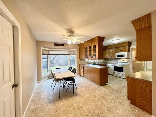 258 Centre Street South, Linden, AB - Indoor Photo Showing Kitchen