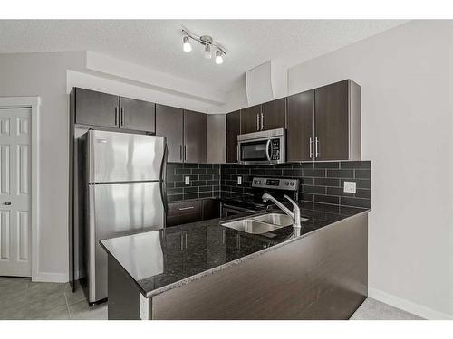 704-325 3 Street Se, Calgary, AB - Indoor Photo Showing Kitchen With Double Sink