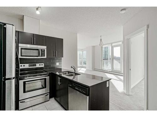 704-325 3 Street Se, Calgary, AB - Indoor Photo Showing Kitchen With Double Sink