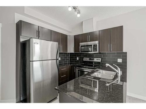 704-325 3 Street Se, Calgary, AB - Indoor Photo Showing Kitchen With Double Sink With Upgraded Kitchen