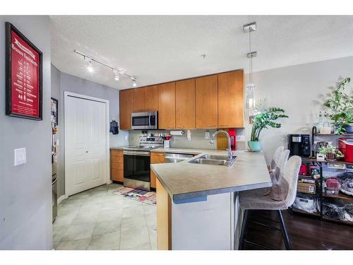 322-5115 Richard Road Sw, Calgary, AB - Indoor Photo Showing Kitchen With Double Sink