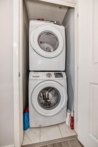 220-4350 Seton Drive Se, Calgary, AB - Indoor Photo Showing Laundry Room