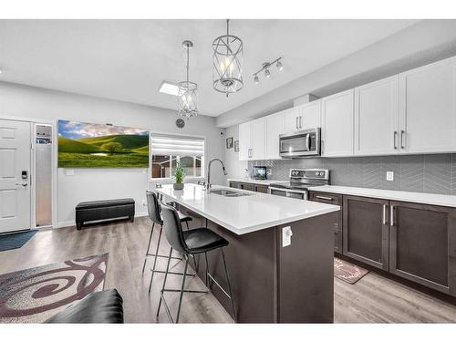 520-32 Red Embers Parade Ne, Calgary, AB - Indoor Photo Showing Kitchen With Double Sink