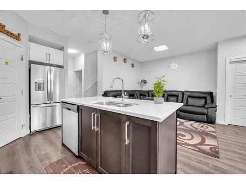 520-32 Red Embers Parade Ne, Calgary, AB - Indoor Photo Showing Kitchen With Stainless Steel Kitchen With Double Sink